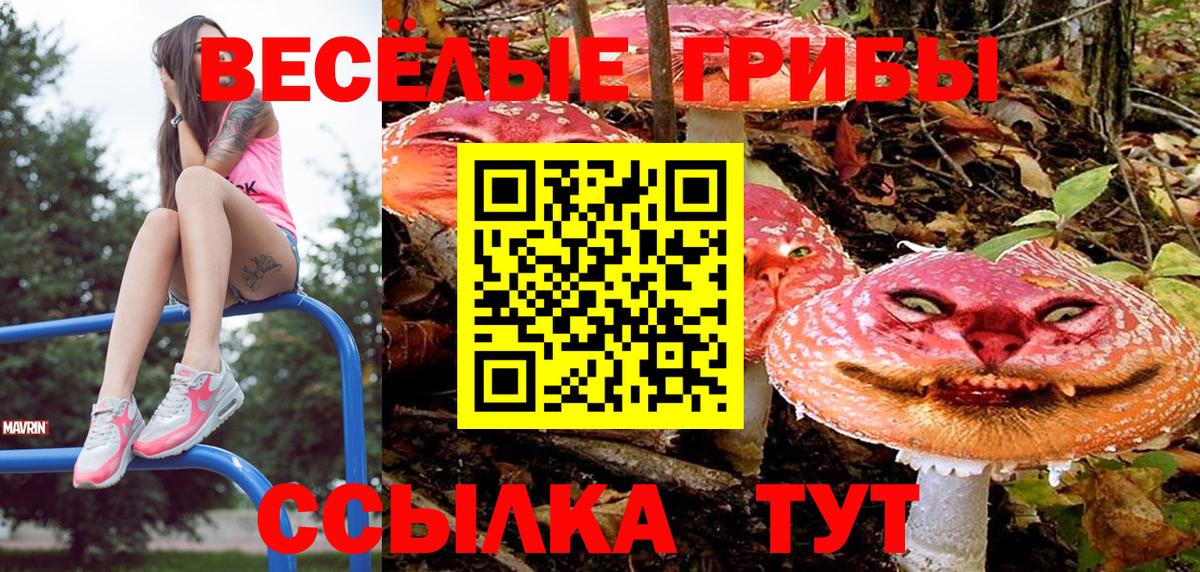 Псилоцибиновые грибы Psilocybine cubensis Азнакаево