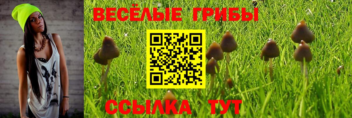 Азнакаево  Псилоцибиновые грибы Psilocybine cubensis  Вход с VPN 